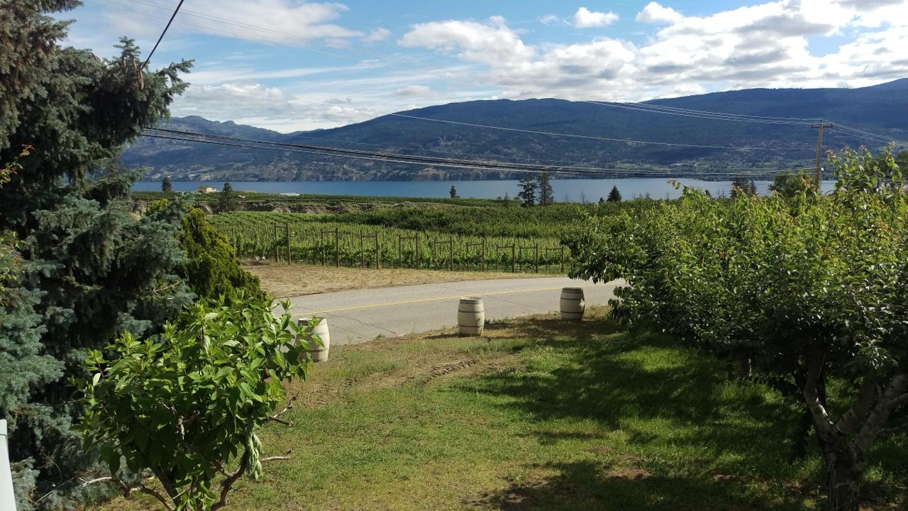 Silkscarf Winery photo 3