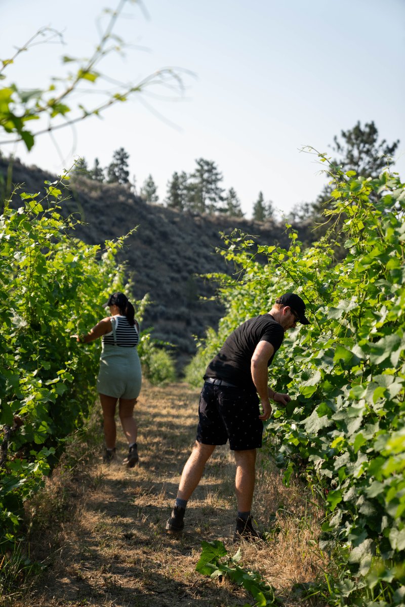 1 Mill Road Winery photo 4