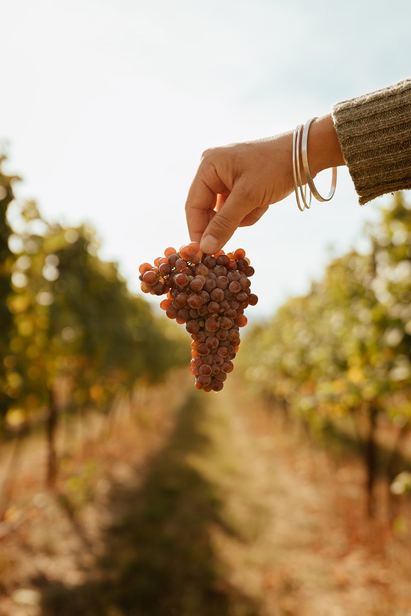 Baillie-Grohman Estate Winery photo 1