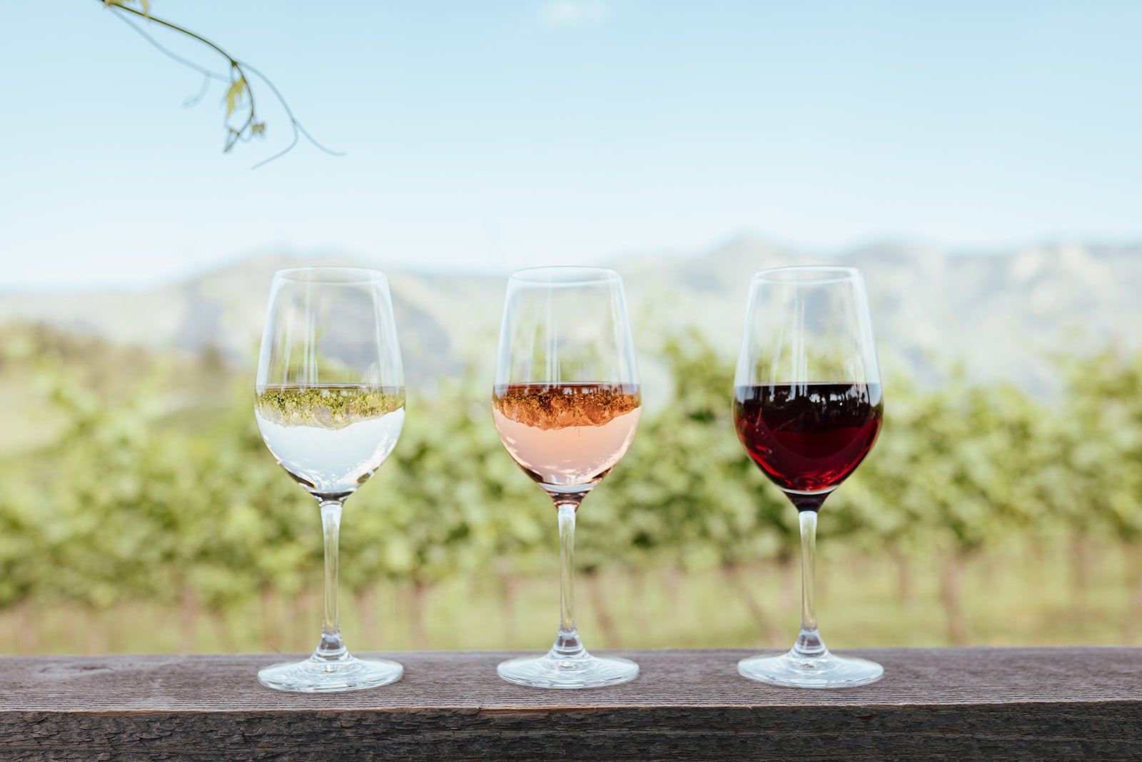 Baillie-Grohman Estate Winery photo 3