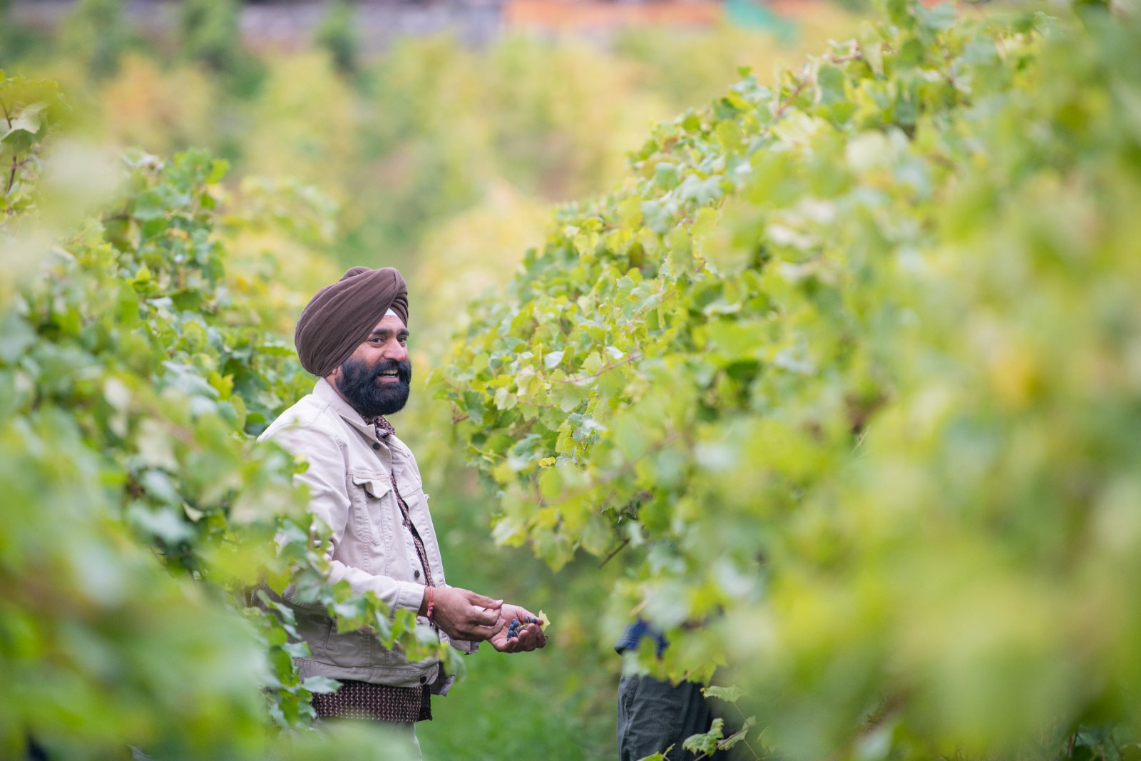 Kalala Organic Estate Winery photo 3