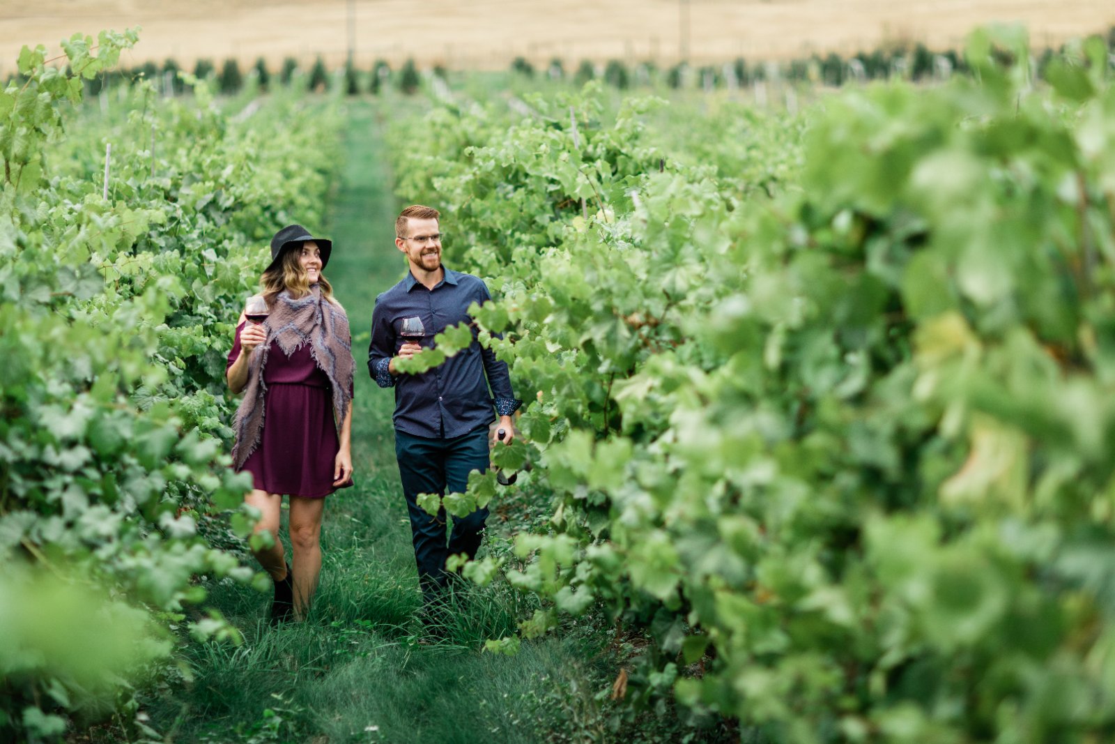 Privato Vineyard & Winery photo 2