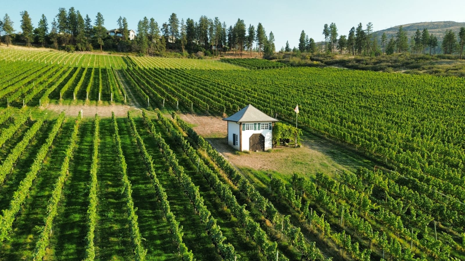Waldhof Family Estate Winery photo 1