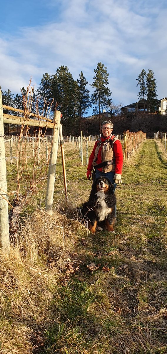 Waldhof Family Estate Winery photo 2